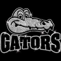 GLT32 SILVER GLITTER Thumbnail