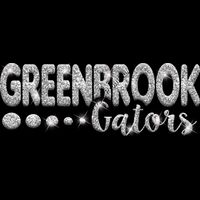 GLT80 SILVER GLITTER Thumbnail